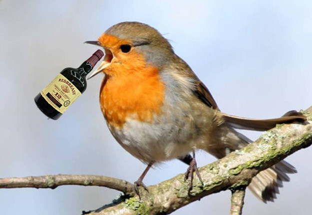 Redbreast meet Red Breast